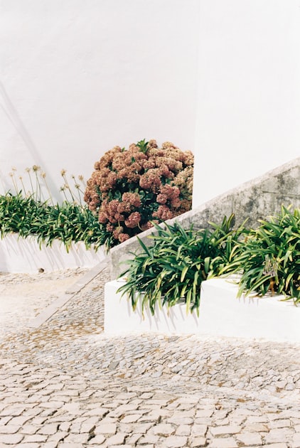Creating Beautiful Outdoor Spaces